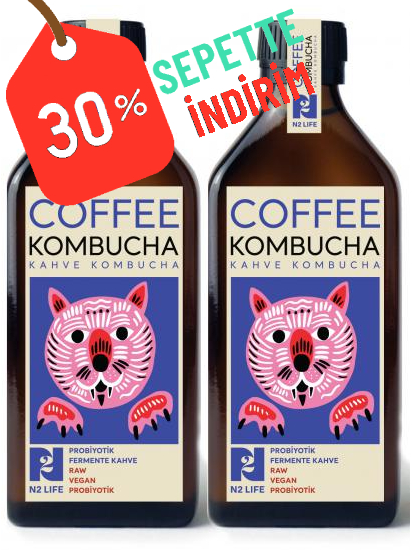 Coffee Kombucha 2 x 200 ml